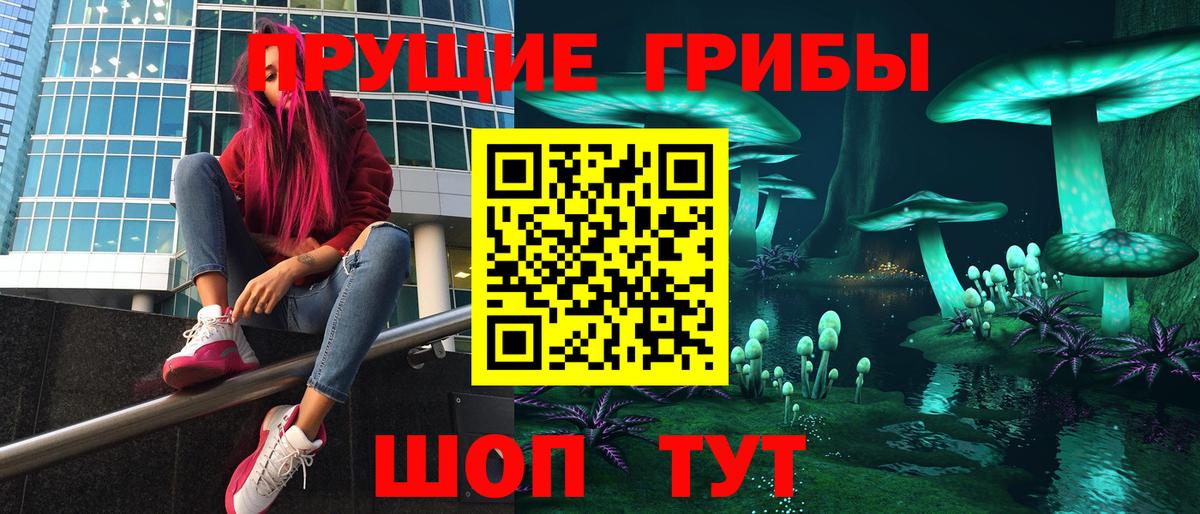 Псилоцибиновые грибы Cubensis Магнитогорск