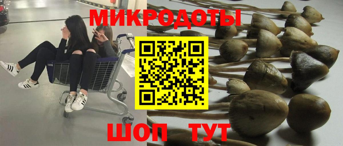Магнитогорск  Псилоцибиновые грибы мухоморы  Вход с VPN 